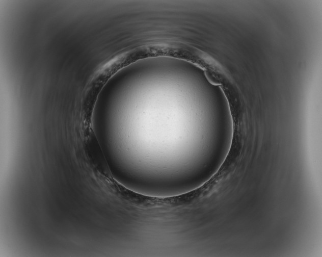 X0000085010822200703121519