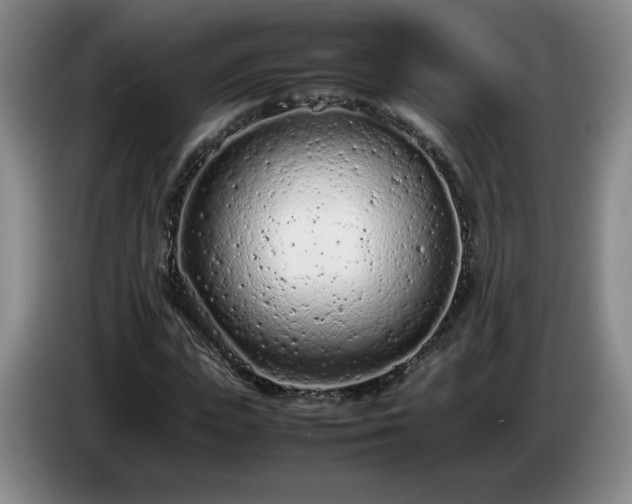 X0000085010823200703121519