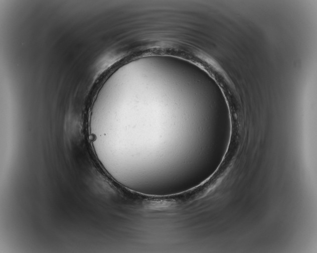 X0000085010826200703121519