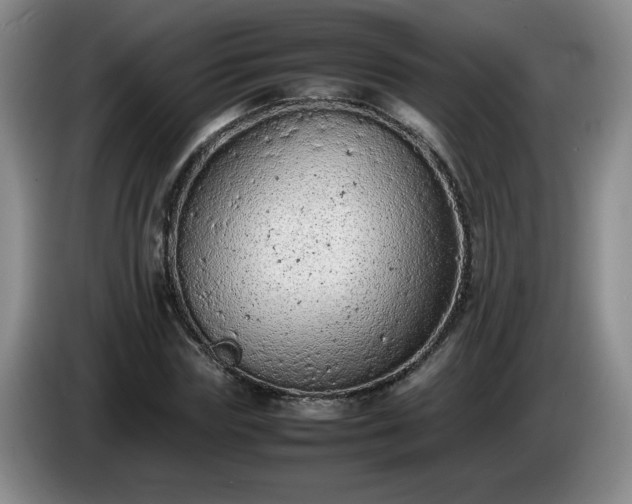 X0000085010827200703121519