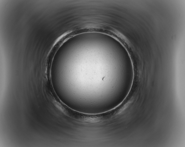 X0000085010830200703121519