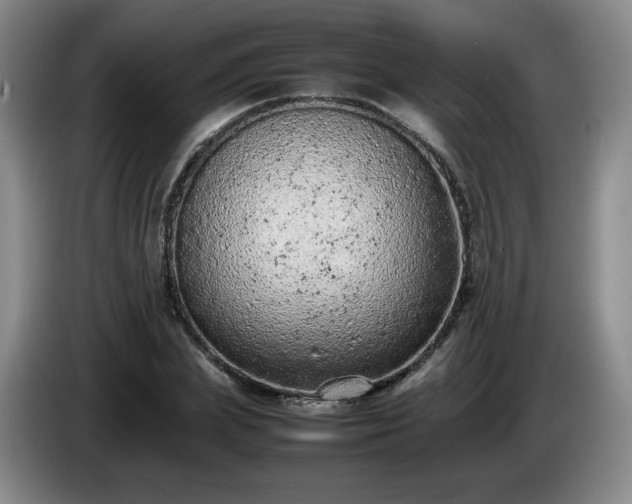 X0000085010831200703121520