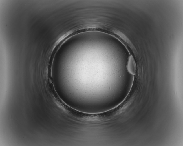 X0000085010834200703121520