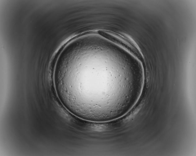 X0000085010835200703121520