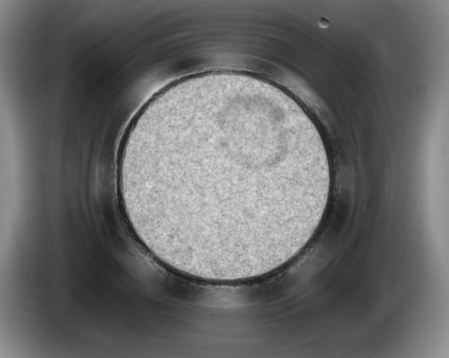 X0000085010836200703121520