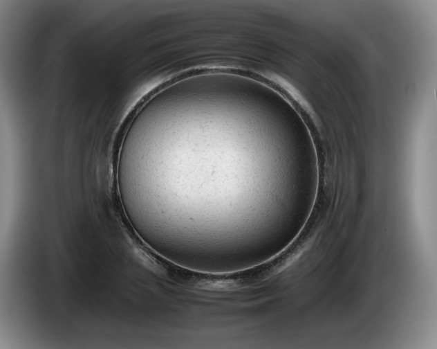 X0000085010837200703121520