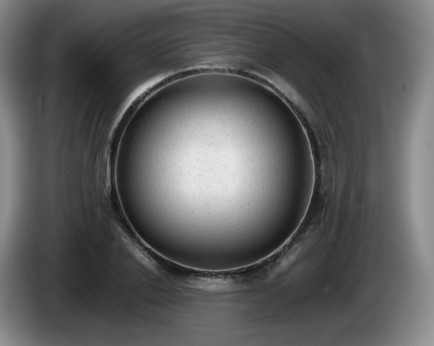 X0000085010838200703121520