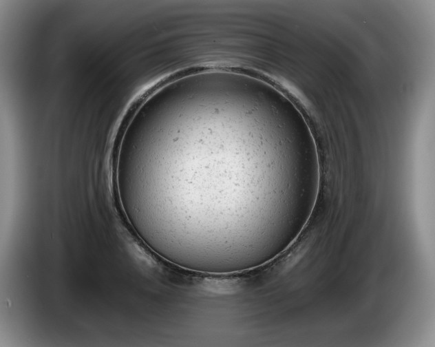 X0000085010840200703121520