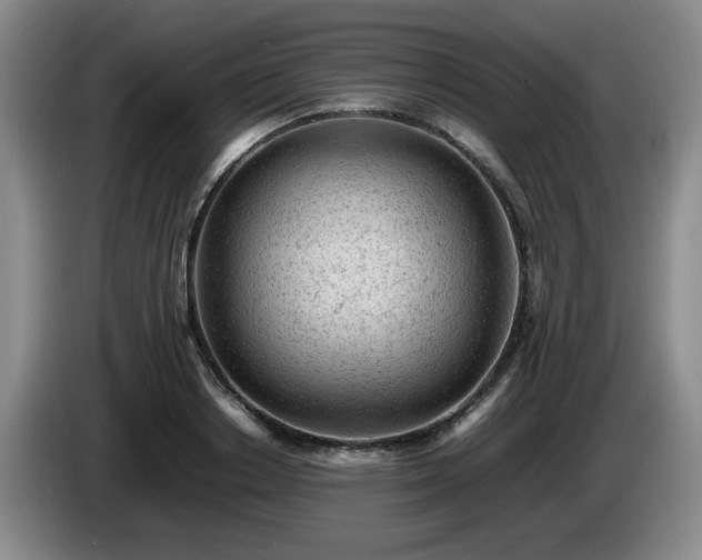 X0000085010842200703121520