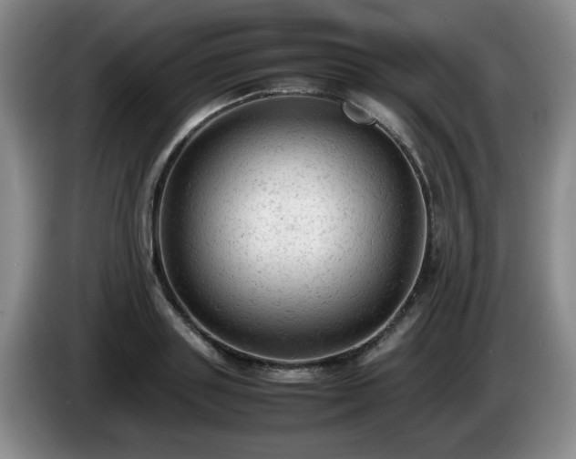 X0000085010843200703121520