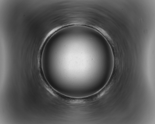 X0000085010846200703121520