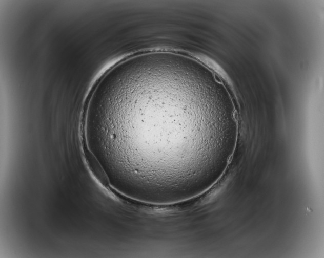 X0000085010847200703121520