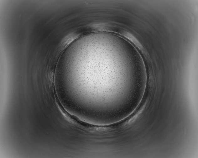 X0000085010849200703121520