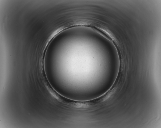 X0000085010850200703121520