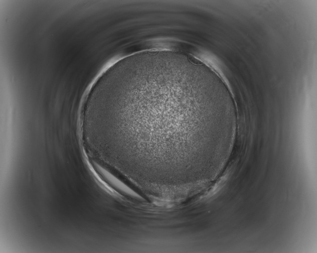 X0000085010851200703121520