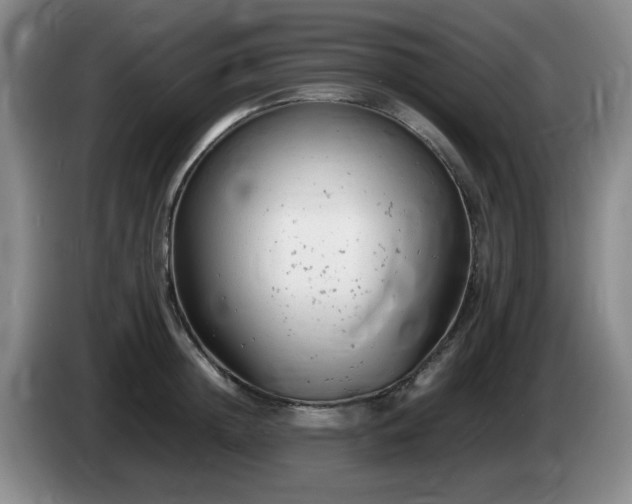 X0000085010852200703121520