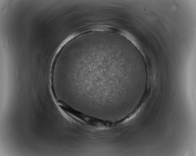 X0000085010853200703121520