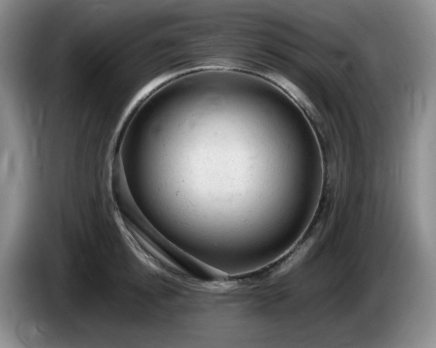 X0000085010854200703121520