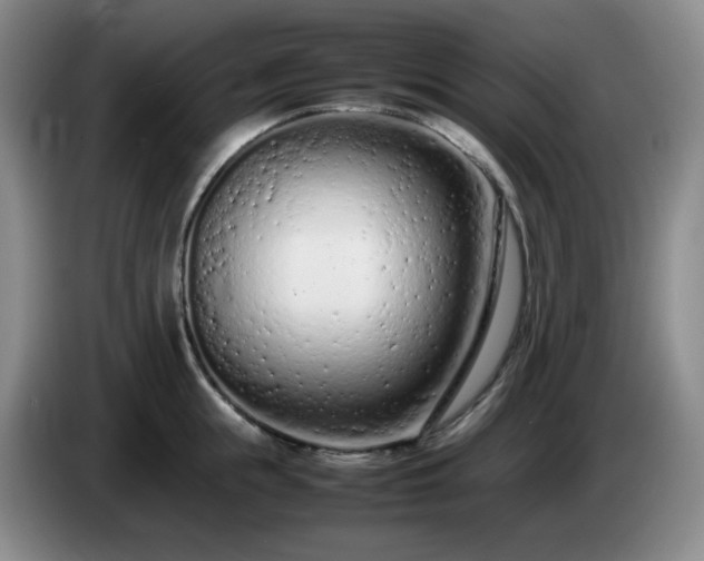 X0000085010855200703121520