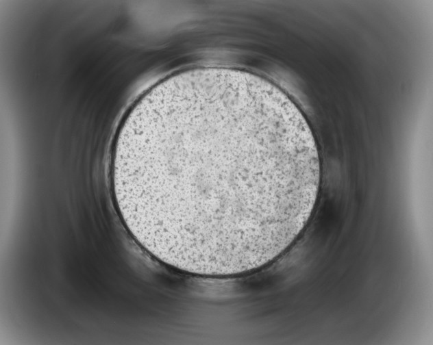X0000085010856200703121520
