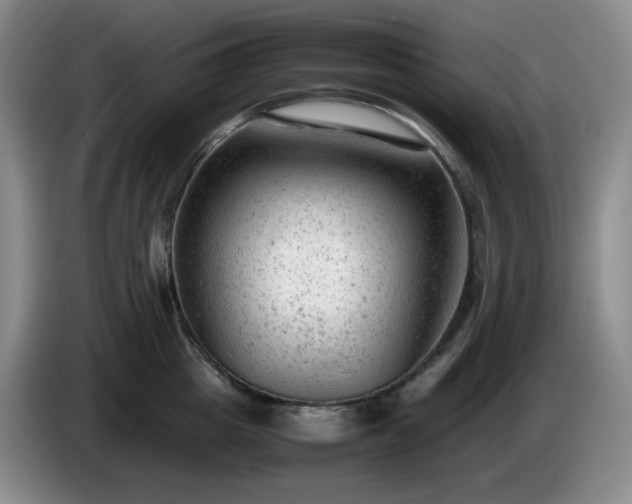 X0000085010857200703121520