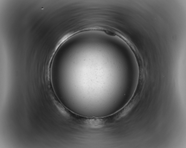 X0000085010858200703121520