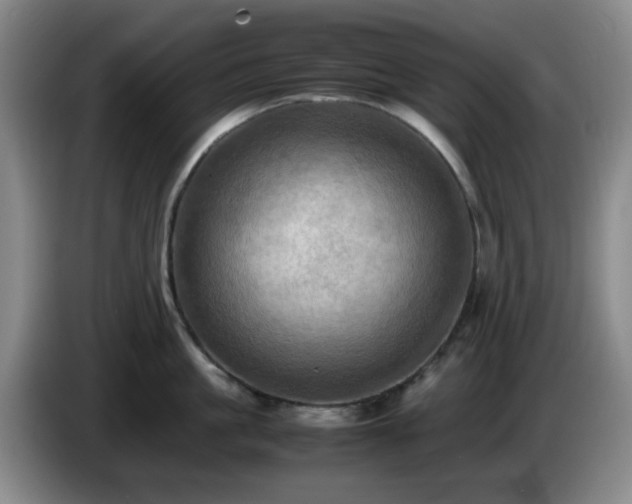 X0000085010861200703121520
