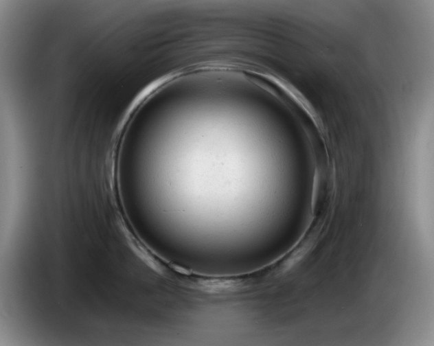 X0000085010862200703121520