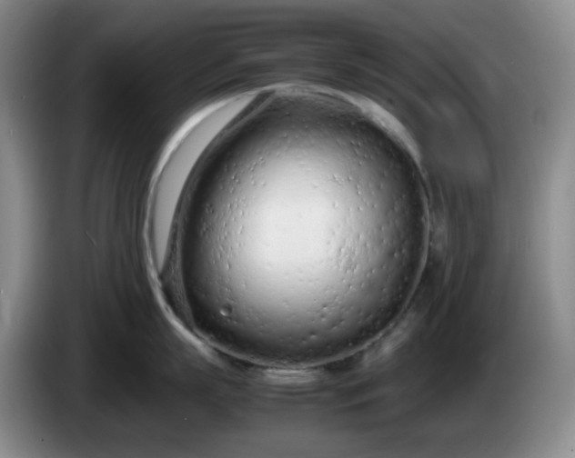 X0000085010863200703121520