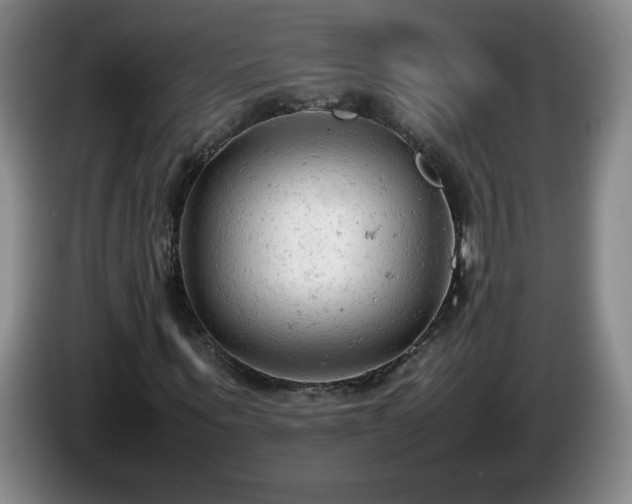 X0000085010867200703121519