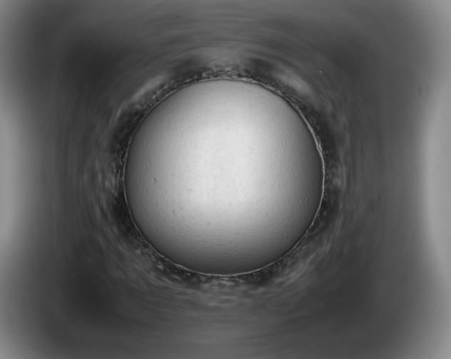 X0000085010869200703121519