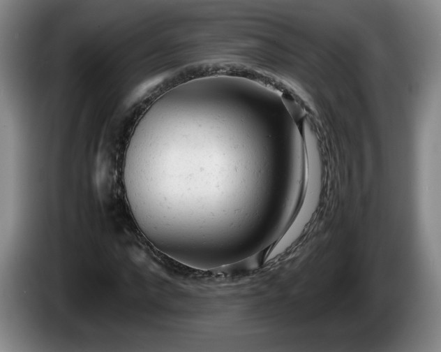 X0000085010872200703121519