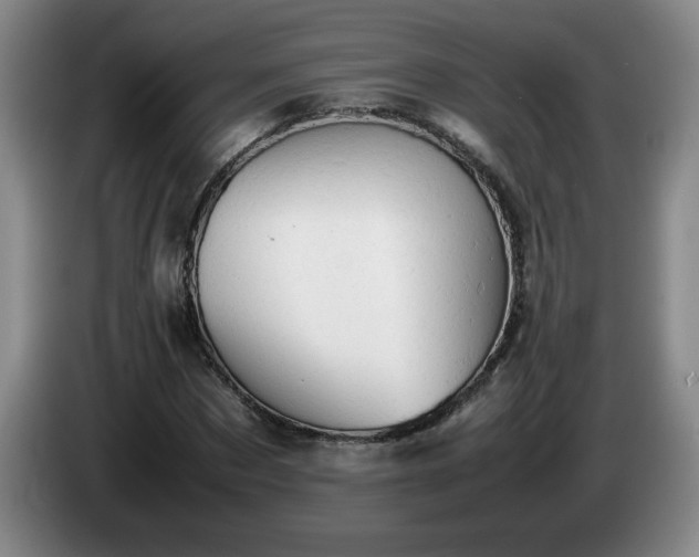 X0000085010873200703121519