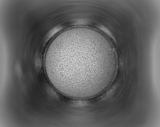 X0000085010874200703121519