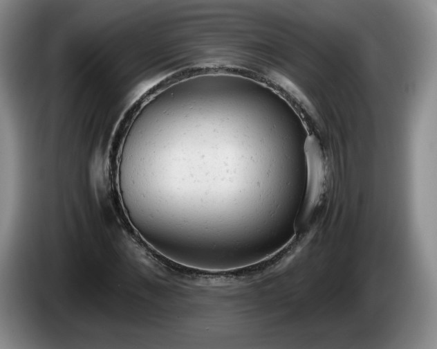 X0000085010876200703121519