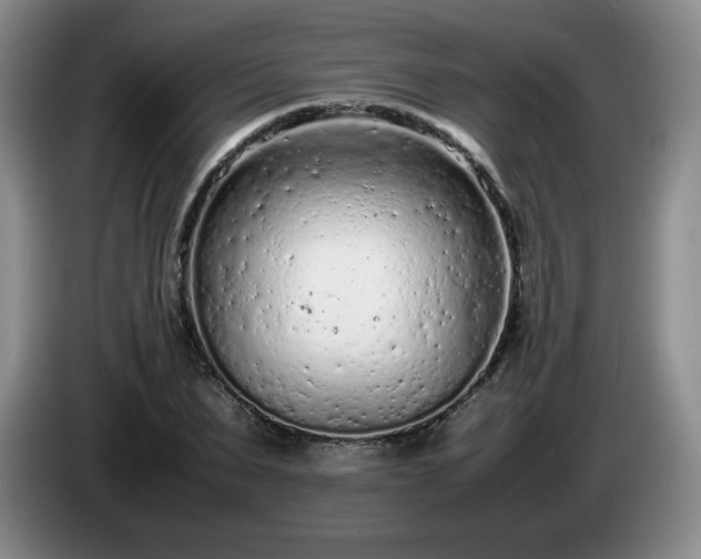 X0000085010879200703121519