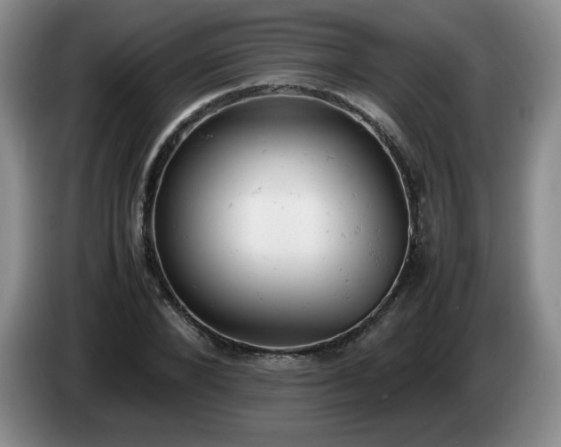 X0000085010880200703121519
