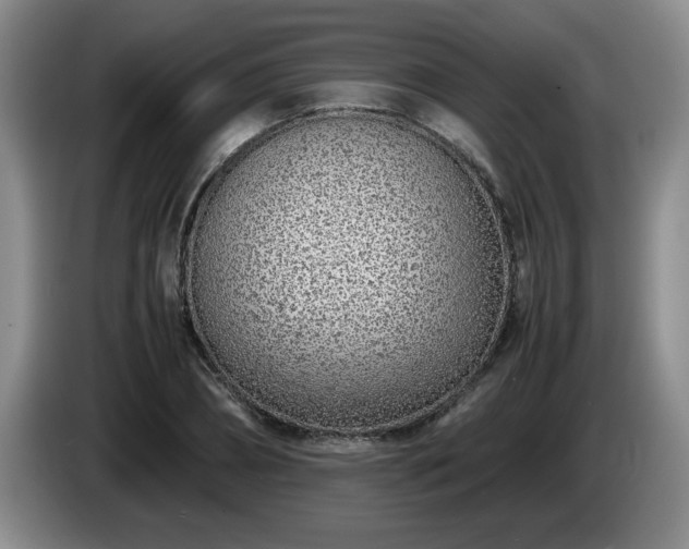 X0000085010882200703121519
