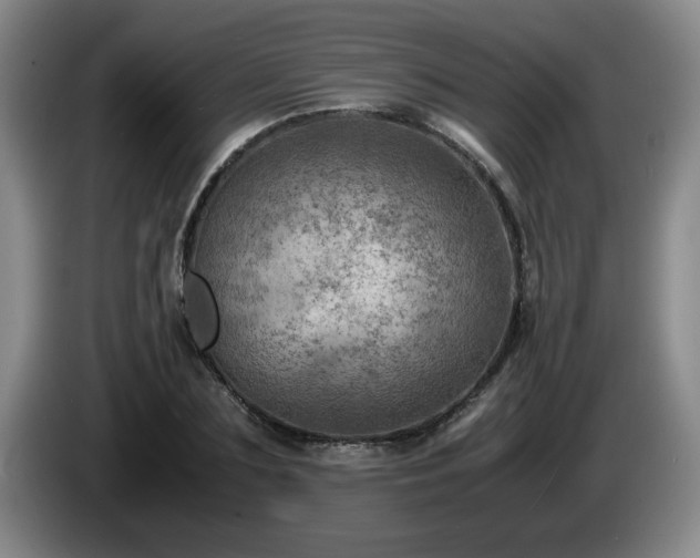 X0000085010883200703121519