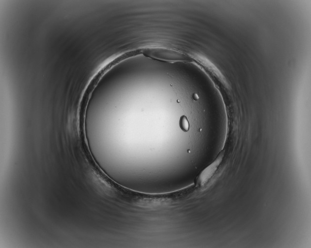 X0000085010884200703121519