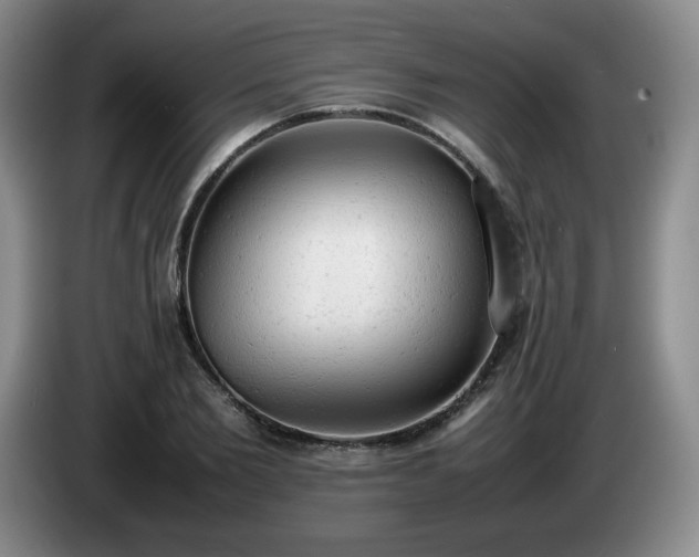 X0000085010885200703121519