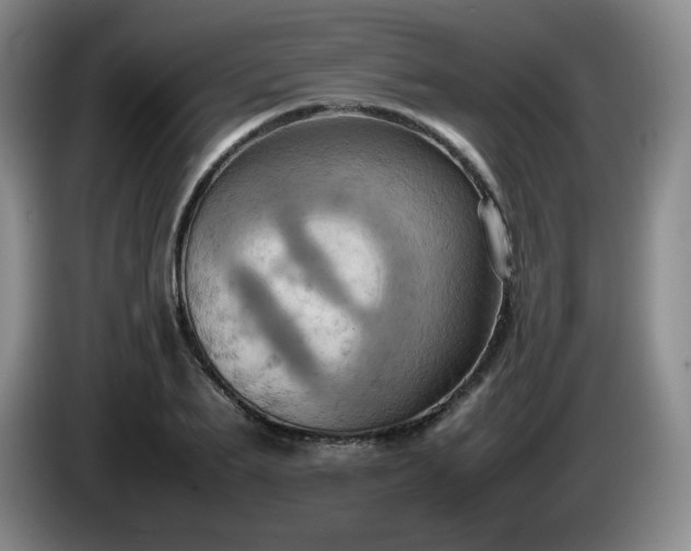 X0000085010887200703121519