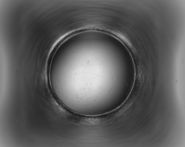X0000085010888200703121519