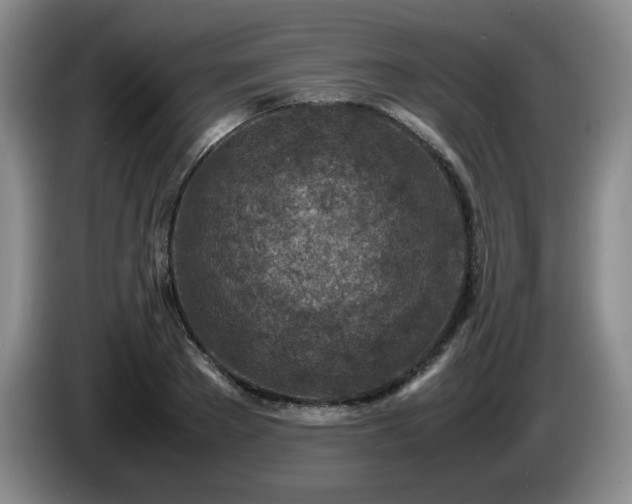 X0000085010889200703121519