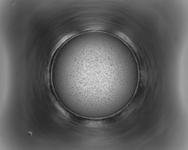 X0000085010890200703121519