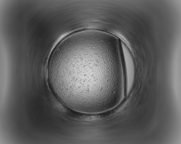 X0000085010891200703121519