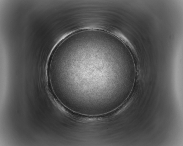 X0000085010892200703121519