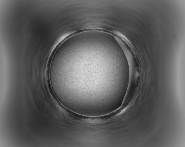 X0000085010893200703121519