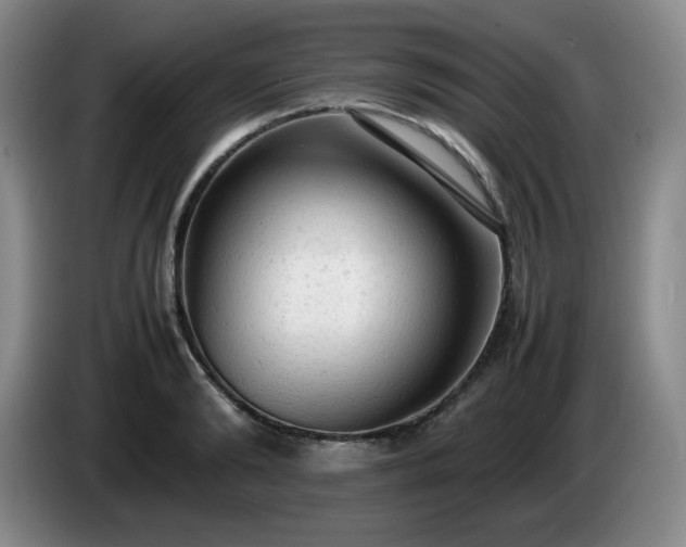 X0000085010894200703121519