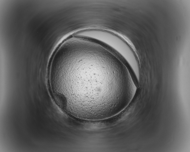 X0000085010895200703121519